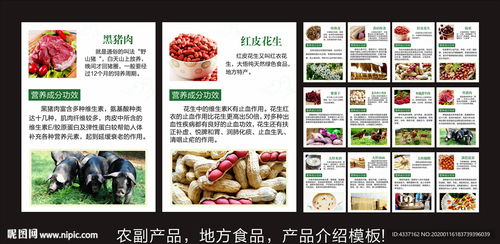 地方農(nóng)副土特產(chǎn)品介紹與推廣模板設(shè)計