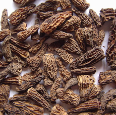 廣元山菇 綠色珍寶，品味自然之韻